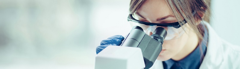 Why Do a PhD?